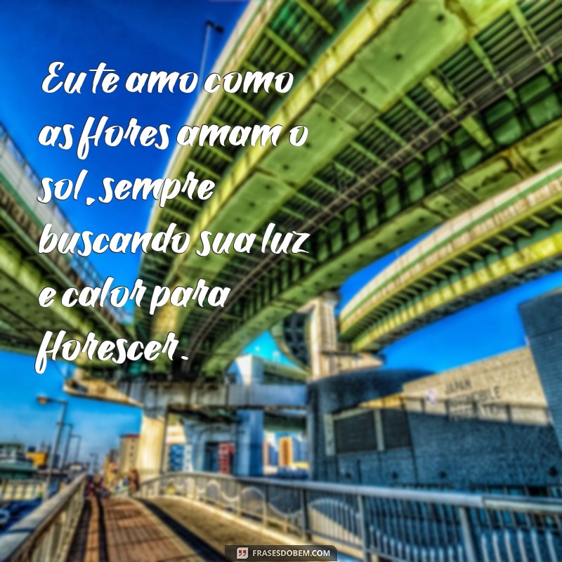 como eu te amo texto Eu te amo como as flores amam o sol, sempre buscando sua luz e calor para florescer.