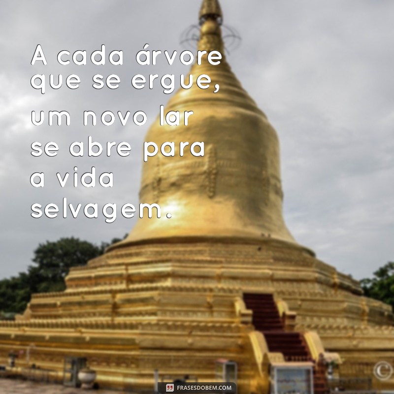 Frases Inspiradoras sobre Reflorestamento: Preserve o Verde e Transforme o Mundo 