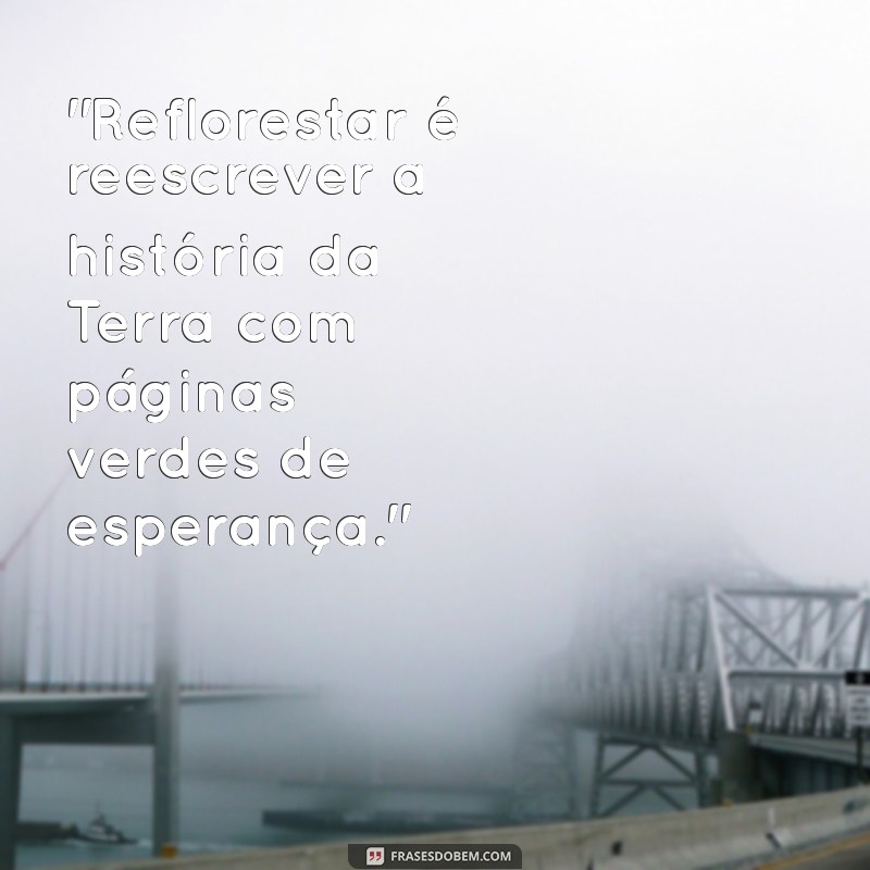 frases sobre reflorestamento 