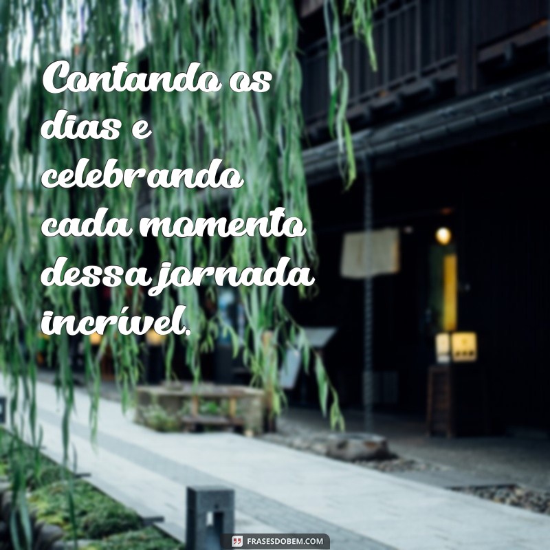 Frases Inspiradoras para Celebrar a Reta Final da Gravidez 