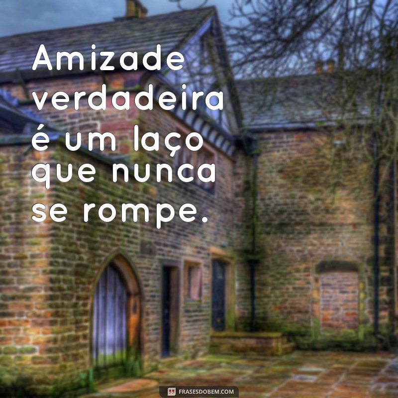 Frases Inspiradoras para Celebrar a Amizade e Parceria 