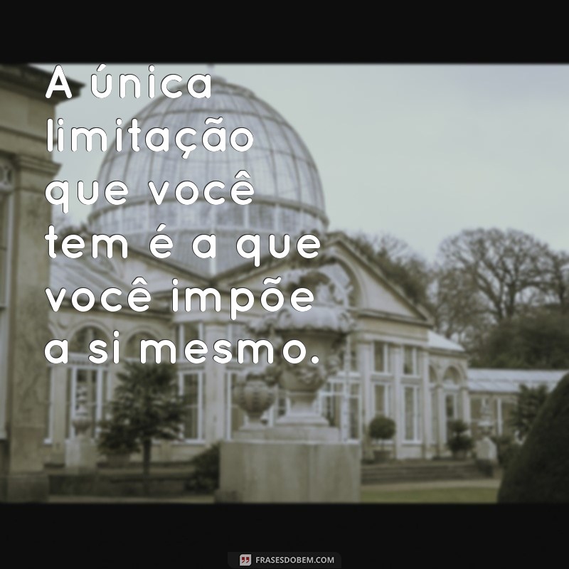 Frases Inspiradoras de Vencedores: Transforme Sua Vida com Motivação 