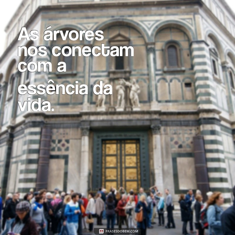 Frases Curtas Inspiradoras sobre Árvores: Conexão com a Natureza 