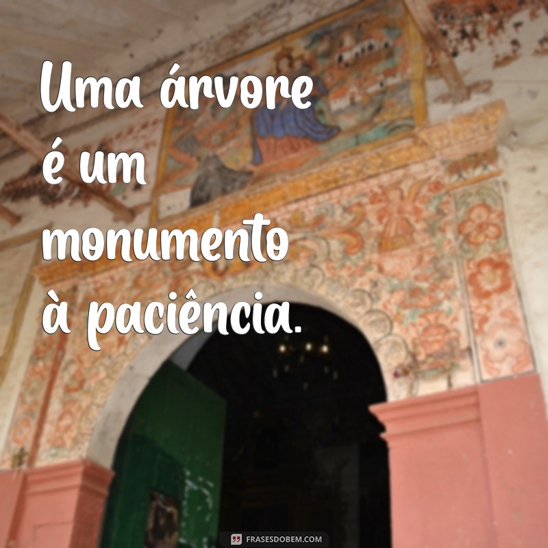 Frases Curtas Inspiradoras sobre Árvores: Conexão com a Natureza 