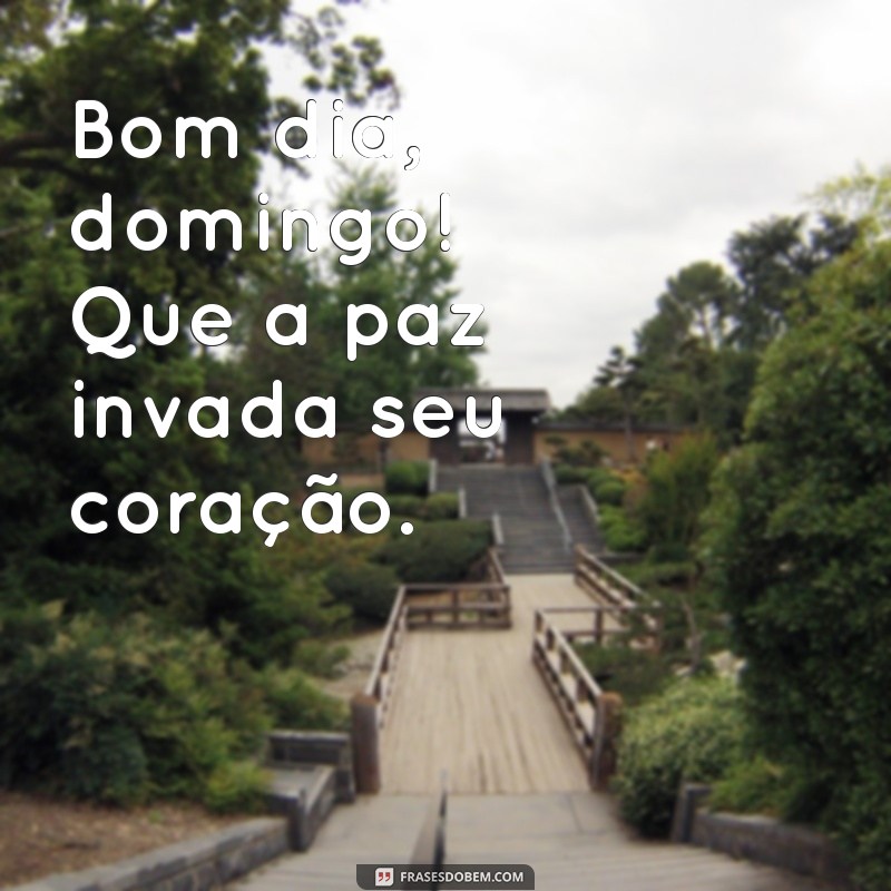 bom dia domingo frases curtas Bom dia, domingo! Que a paz invada seu coração.