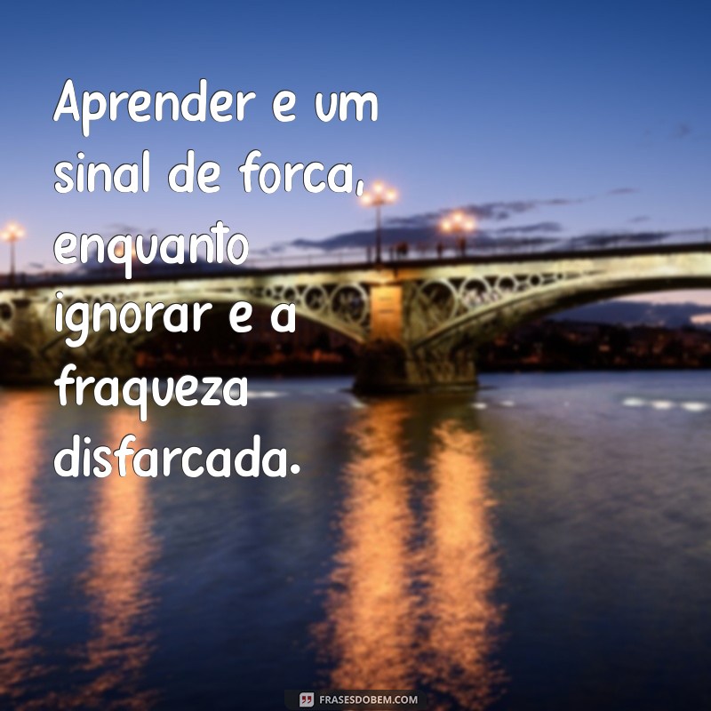 Frases Impactantes para Refletir sobre Ignorância e Estupidez 
