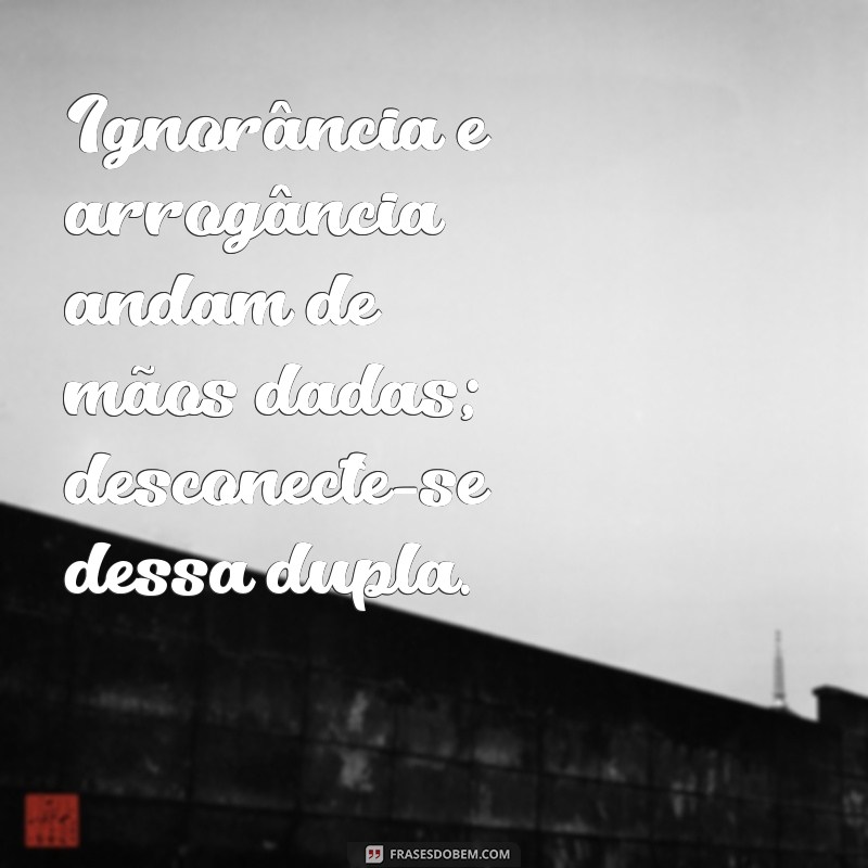 Frases Impactantes para Refletir sobre Ignorância e Estupidez 