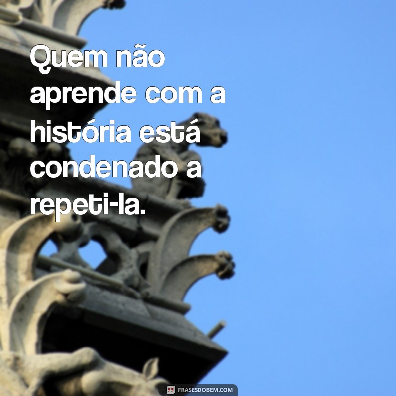 Frases Impactantes para Refletir sobre Ignorância e Estupidez 