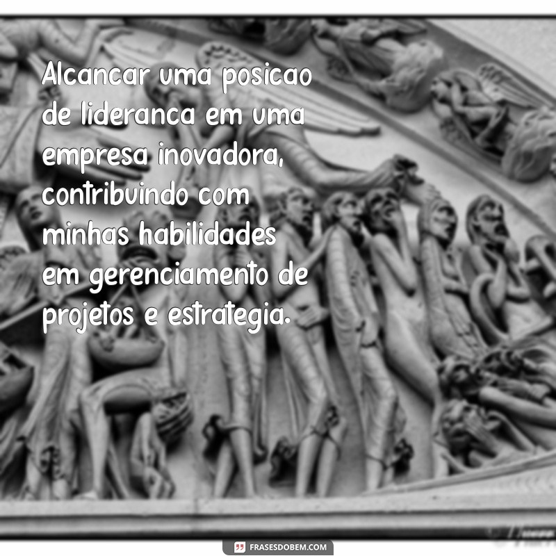 exemplos de objetivos de curriculo Alcançar uma posição de liderança em uma empresa inovadora, contribuindo com minhas habilidades em gerenciamento de projetos e estratégia.