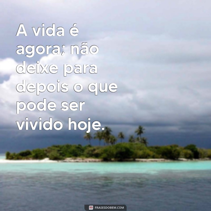 frases a vida é agora A vida é agora; não deixe para depois o que pode ser vivido hoje.