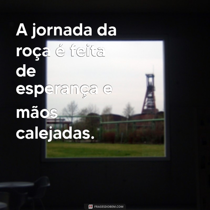 Descubra 20 Frases Inspiradoras sobre a Vida na Roça 