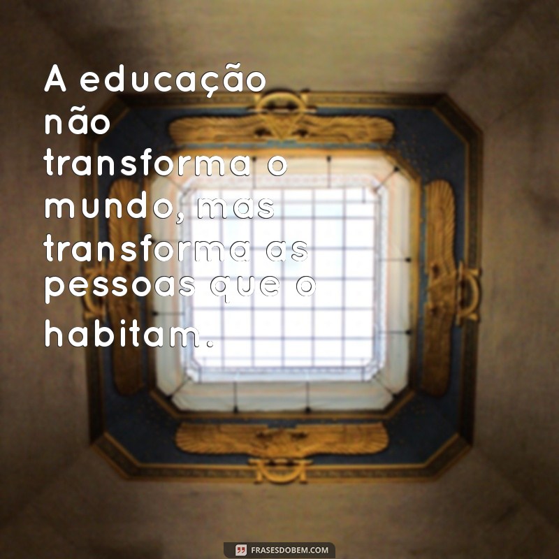 educação não transforma o mundo A educação não transforma o mundo, mas transforma as pessoas que o habitam.