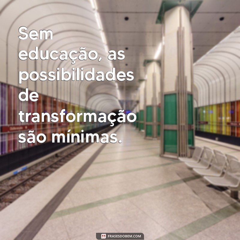 Por que a Educação Sozinha Não é Suficiente para Transformar o Mundo 