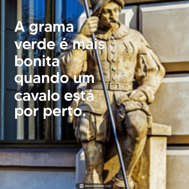 As Melhores Frases para Acompanhar Suas Fotos com Cavalos 