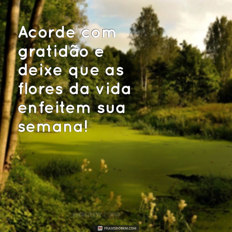 Bom Dia! Inspire-se com Mensagens de Boa Semana e Flores 