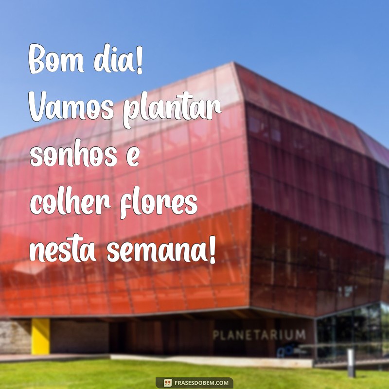 Bom Dia! Inspire-se com Mensagens de Boa Semana e Flores 