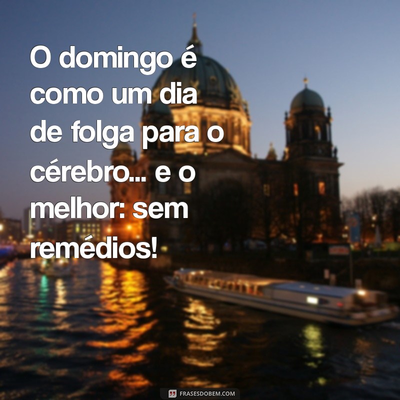 24 Frases Engraçadas para Desejar um Bom Dia de Domingo 