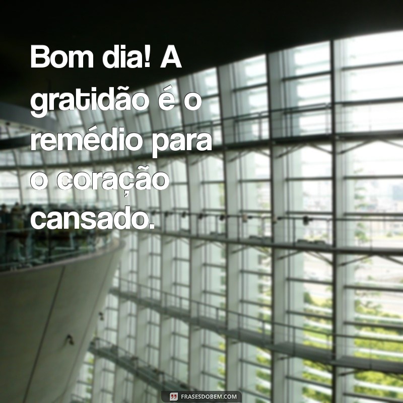 Bom Dia com Gratidão: Inspirações do Pensador para Começar o Dia 