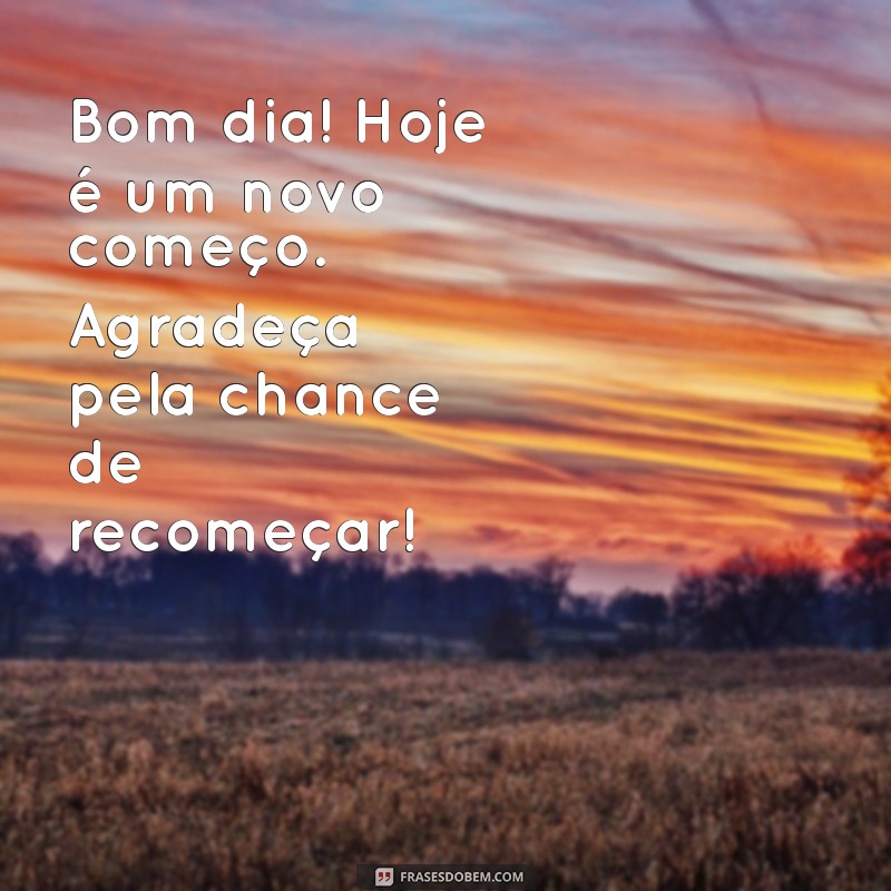 Bom Dia com Gratidão: Inspirações do Pensador para Começar o Dia 