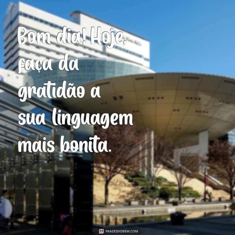 Bom Dia com Gratidão: Inspirações do Pensador para Começar o Dia 