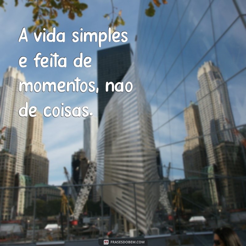 vida simples A vida simples é feita de momentos, não de coisas.