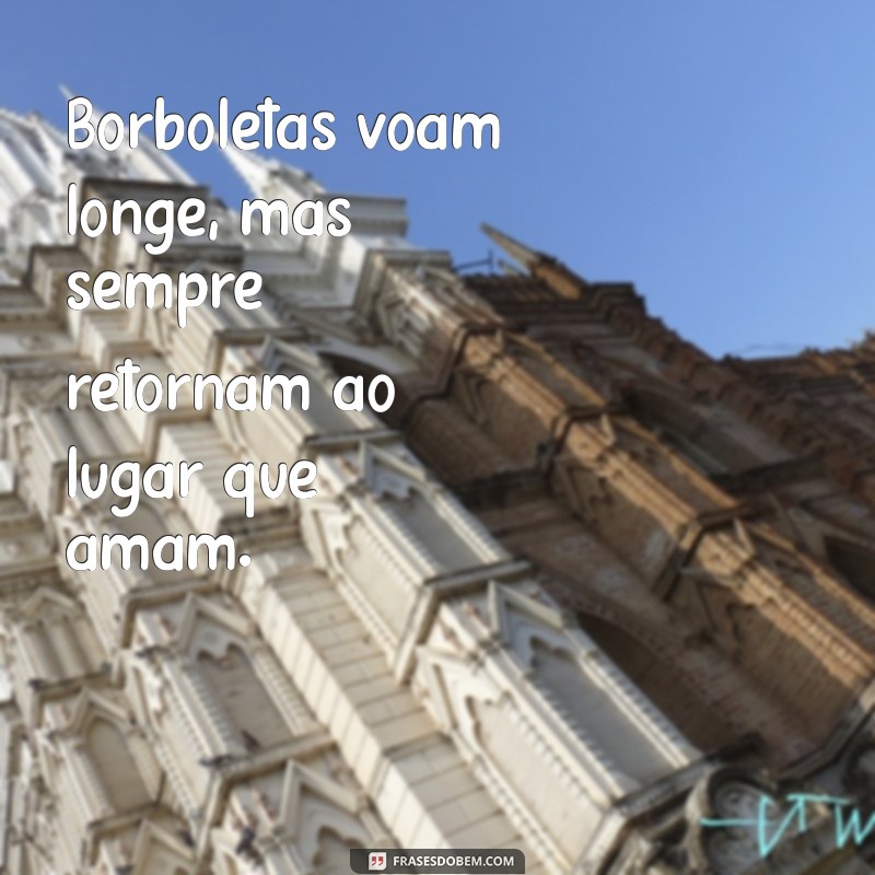 Frases Inspiradoras de Borboletas para Tumblr: Beleza e Transformação em Palavras 