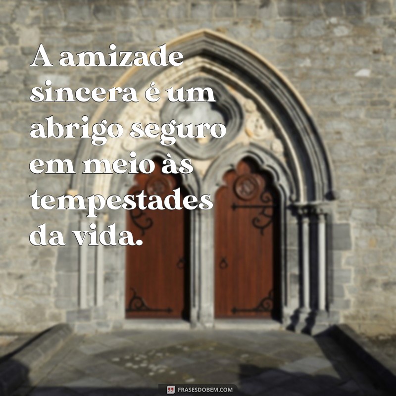 frases sobre amizade sincera A amizade sincera é um abrigo seguro em meio às tempestades da vida.