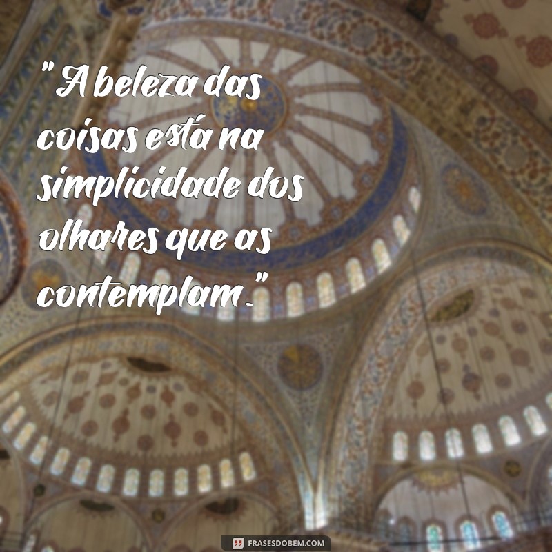 frases bonitas de livros 