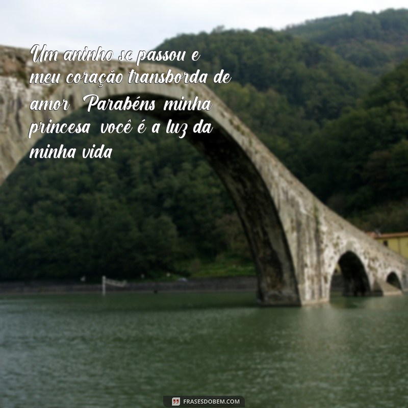 1 aninho da minha filha texto Um aninho se passou e meu coração transborda de amor! Parabéns, minha princesa, você é a luz da minha vida!