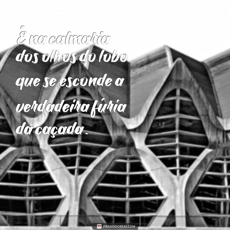 Reflexão sobre a força e sabedoria dos lobos: confira as melhores frases 