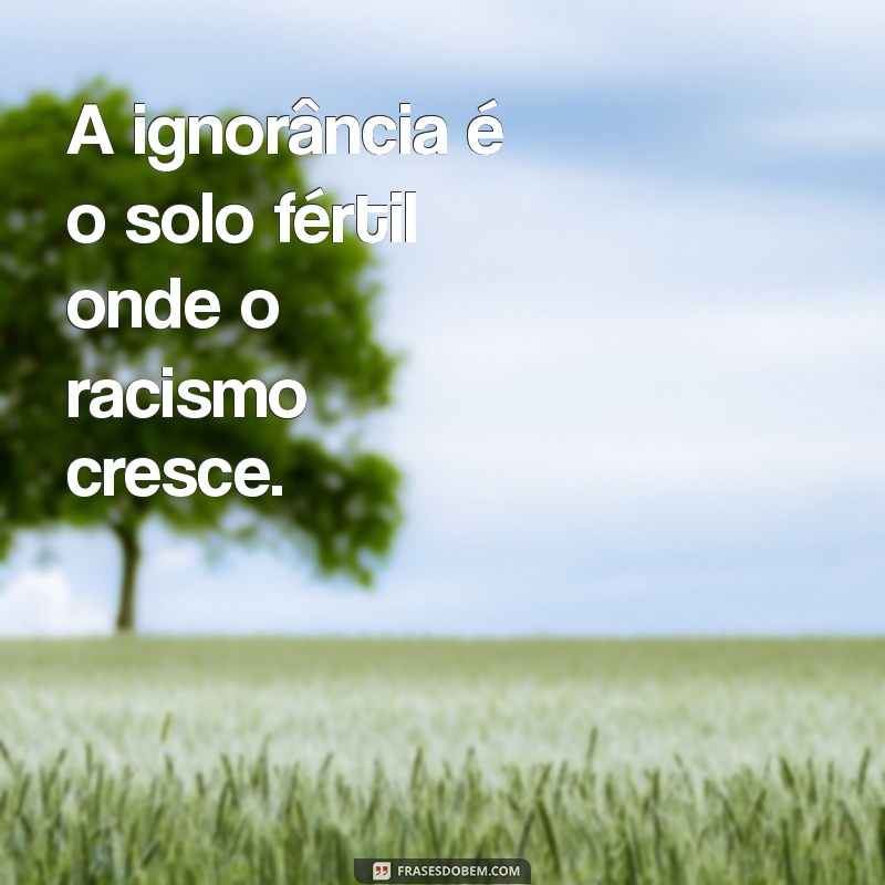 Frases Impactantes sobre Racismo: Reflexões e Conscientização 