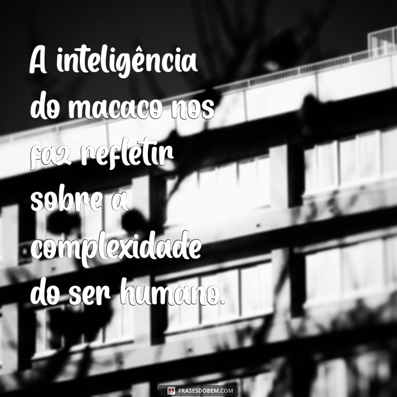 30 Frases Criativas e Engraçadas com a Palavra Macaco para Compartilhar 