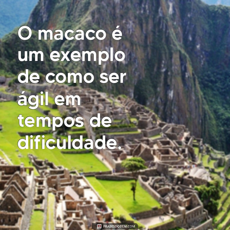 30 Frases Criativas e Engraçadas com a Palavra Macaco para Compartilhar 