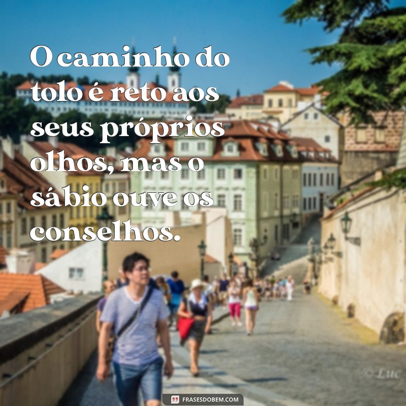 provérbios 12:15 O caminho do tolo é reto aos seus próprios olhos, mas o sábio ouve os conselhos.