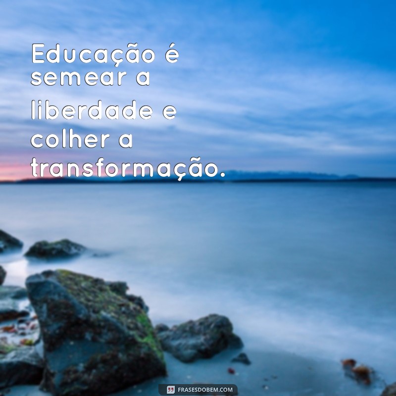 Frases Inspiradoras de Paulo Freire sobre Educação: Reflexões Transformadoras 