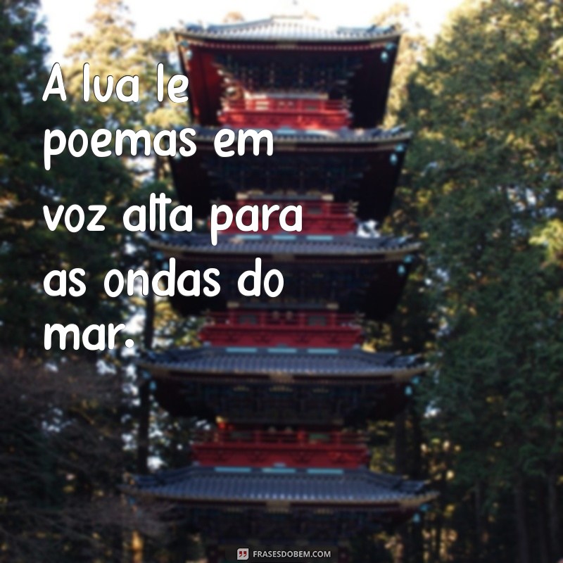 Frases Engraçadas e Sem Sentido: As Melhores Frases Nada a Ver para Compartilhar 