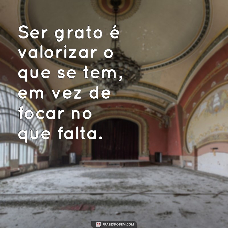 Descubra a felicidade em 365 dias de gratidão com essas inspiradoras frases 