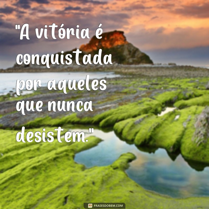 frases de vitorias e lutas 