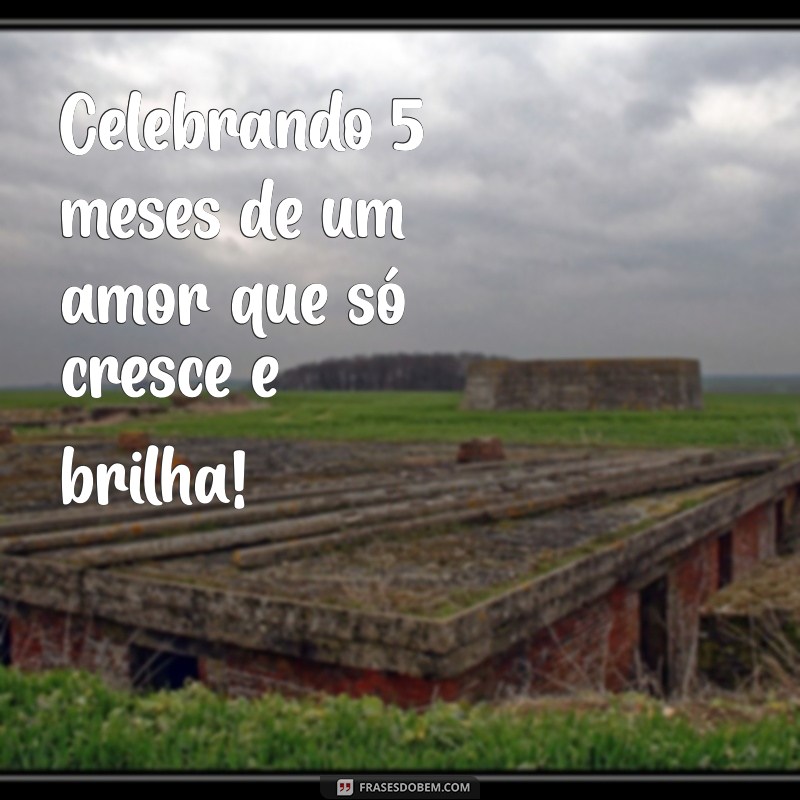 5 Meses de Casamento: Celebre o Amor com Mensagens e Frases Inspiradoras 