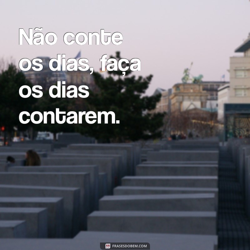 As Melhores Frases para Bombar Seu Instagram e Aumentar Seguidores 