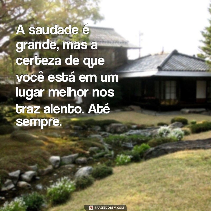 Mensagens Comemorativas para Santinhos: Homenagens na Missa de 7º Dia 