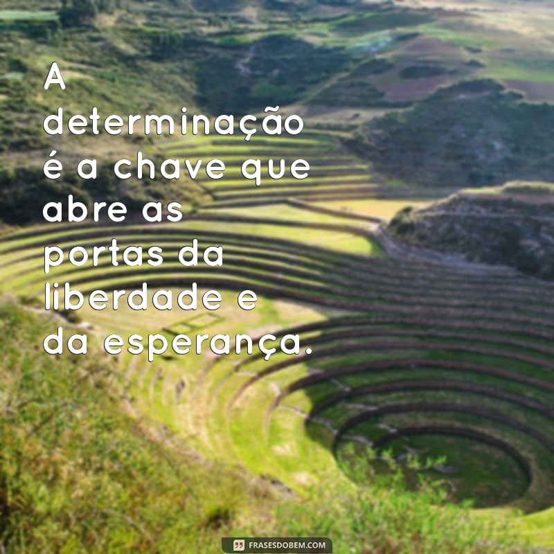 Frases Inspiradoras de Luta e Resistência para Motivar sua Jornada 