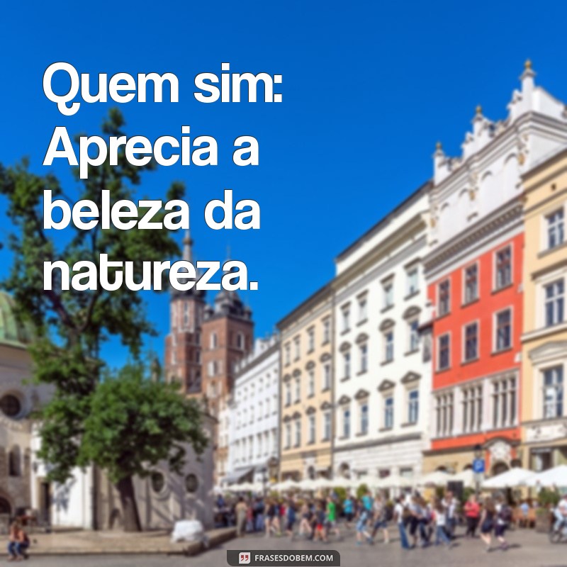 Quem Sim e Quem Nunca: Descubra as Diferenças e Implicações 