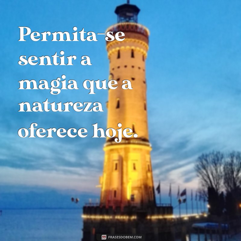 Frases Inspiradoras para Aproveitar um Dia Lindo 