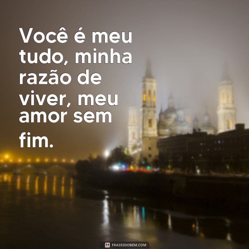 frases de amor que rimam Você é meu tudo, minha razão de viver, meu amor sem fim.