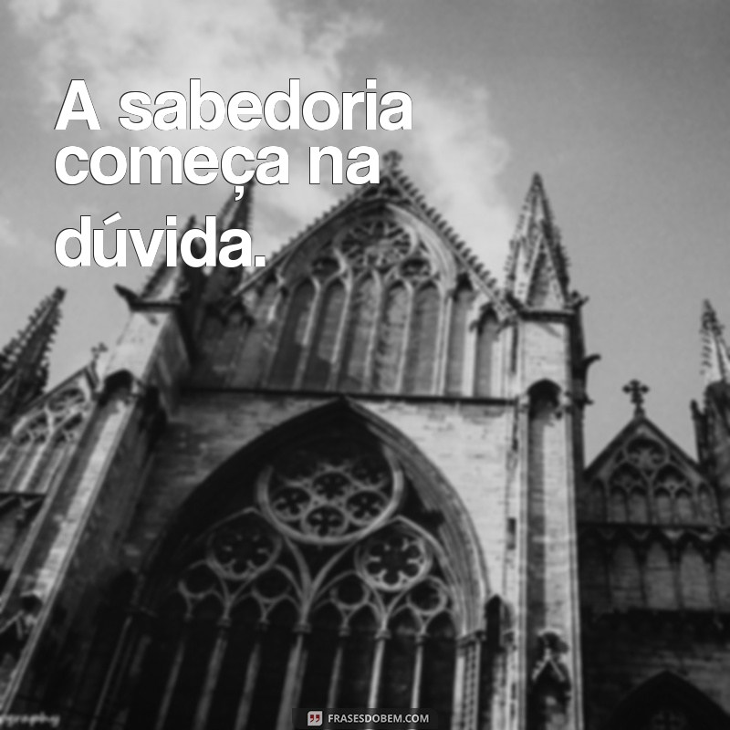 frases filosóficas curtas e inteligentes A sabedoria começa na dúvida.