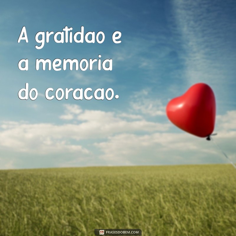 Descubra o Verdadeiro Significado de Agradecer e Sua Importância na Vida 