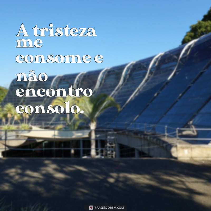 frases texto de tristeza A tristeza me consome e não encontro consolo.