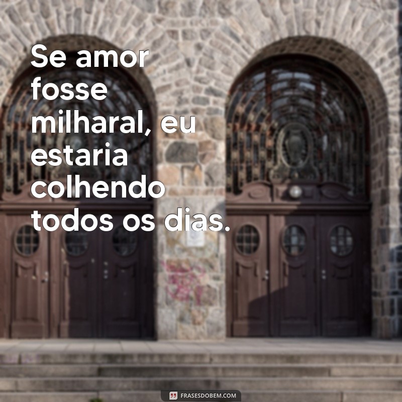 Frases Caipiras de Amor: Declare Seu Coração com Charme do Interior 