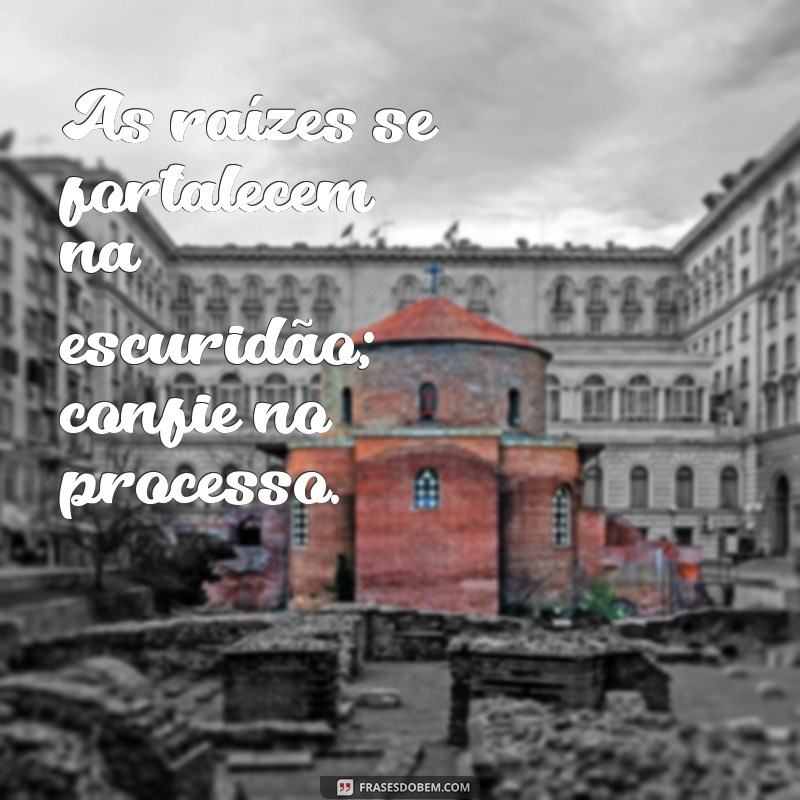 Confie no Processo: Como a Paciência e a Persistência Levam ao Sucesso 